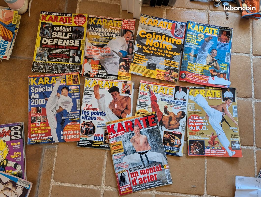 MAGAZINE SPIROU VINTAGE - Numéro Collector Ancien EUR 3,99 - FR