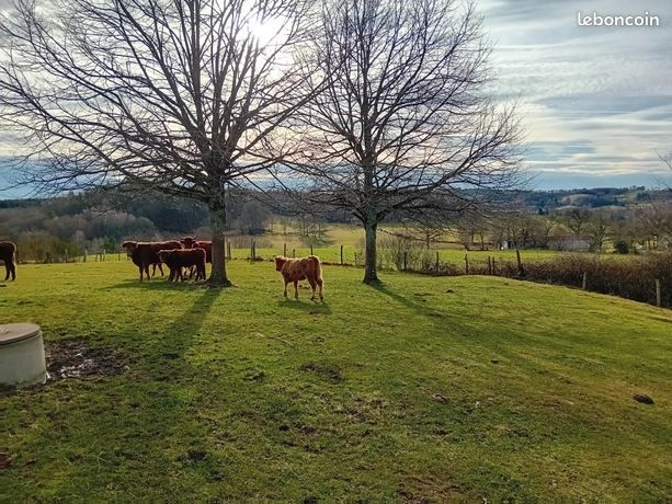 Grange 330 m² Aurillac