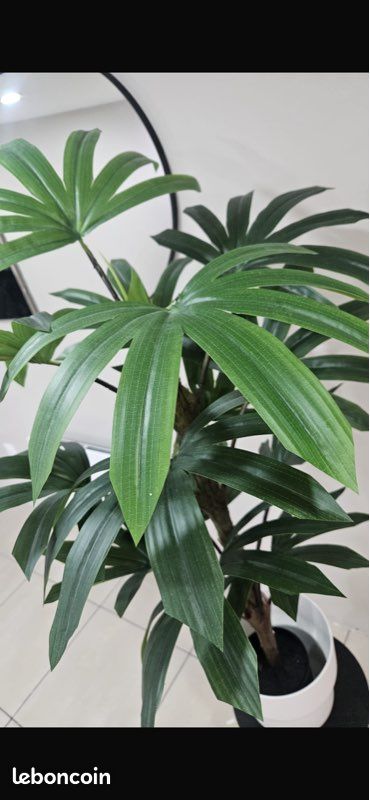 Plantes artificielles (image 3)