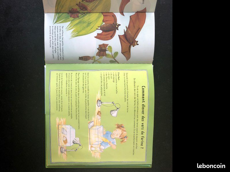 Kididoc- Les bébés animaux - n•29 (image 7)