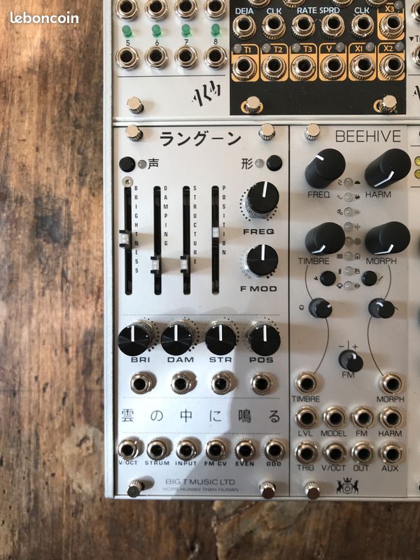 Module Eurorack Big T Music - Rangoon (Mutable Instruments Rings 