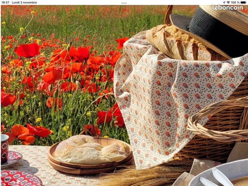 Coupon Tissu Ancien Fleurs Campagne - Coton 117x130 Cm - Parfait état