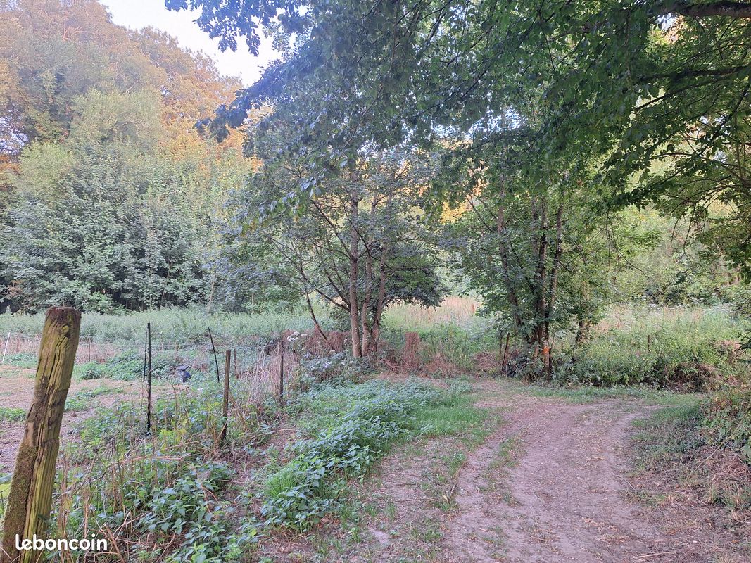 Pâture moitié boisée, le long d'un cour d'eau, au milieu d'un écrin de verdure · à Bailleulval · 11 000 €
