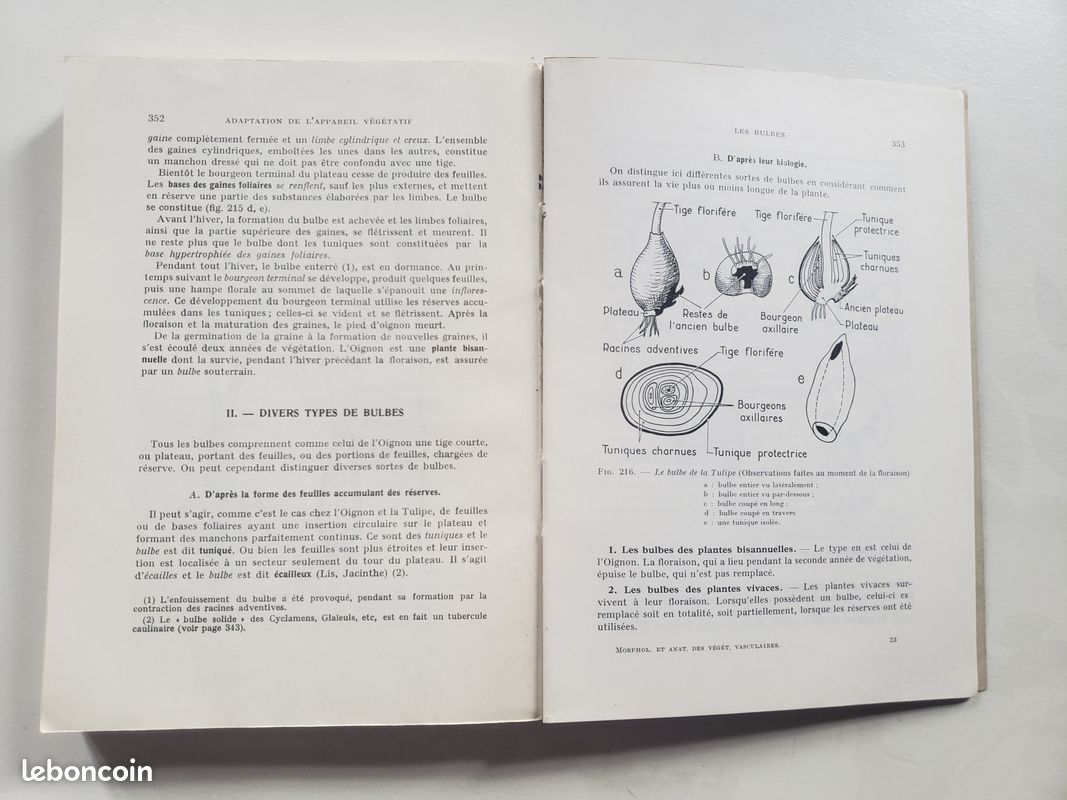 Livre Ancien I. Riolano - Encheiridium Anatomicum Et Pathologicum - 1658 - Latin