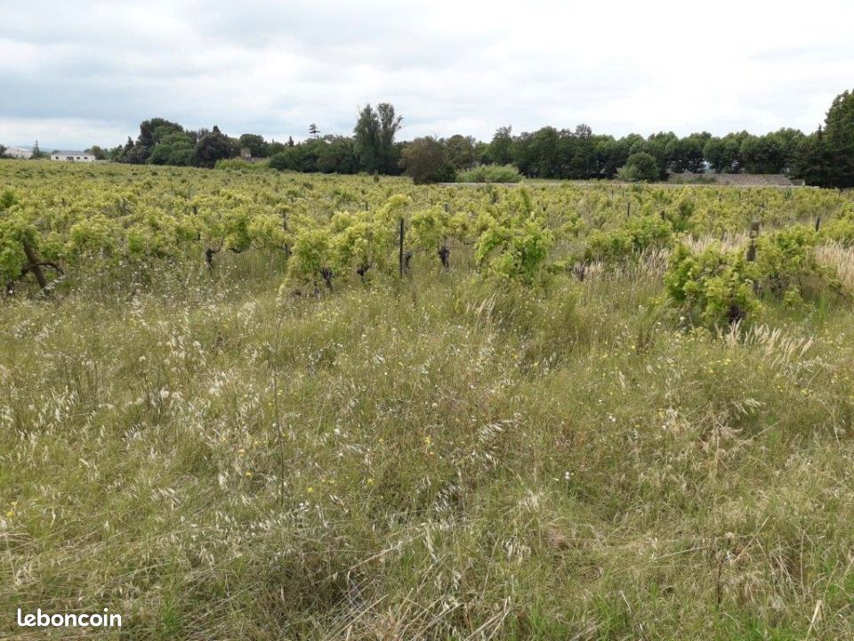 Terrain 503 m² Bizanet · 85 000 €