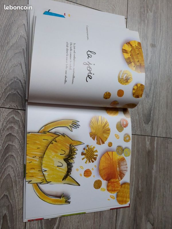 Livre la couleur des émotions (image 3)