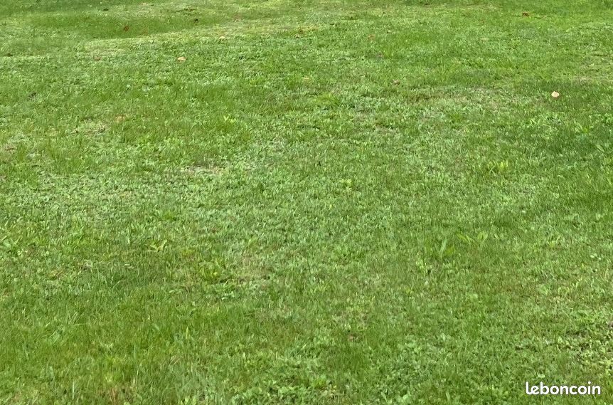 Terrain 1 000 m² Saint Andre De Lidon · à Saint-André-de-Lidon · 33 000 €