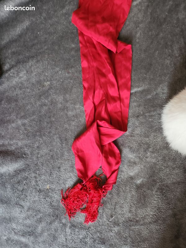 Costume professionnel de Père Noël complet (image 5)