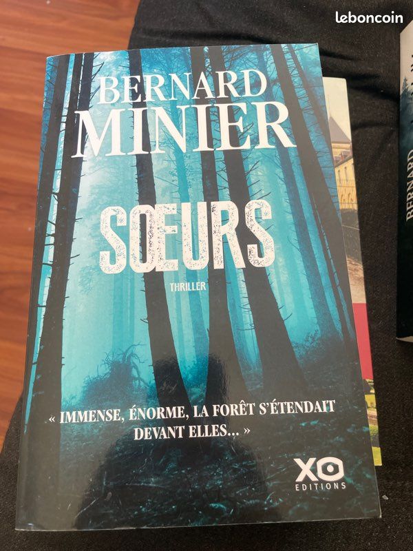 Bernard Minier livre Sœurs (image 2)