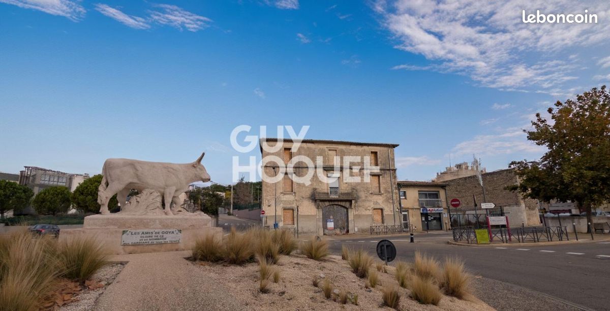 Terrain Beaucaire · 500 000 €