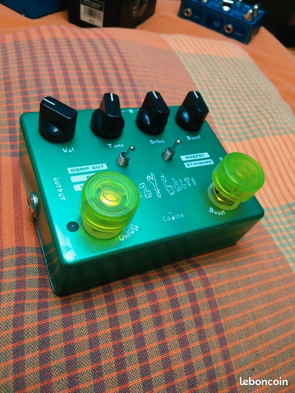 Vds Caline Crazy cactus - Instruments de musique