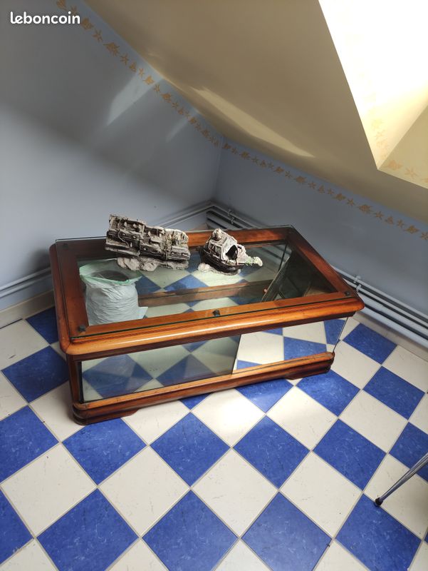 Table aquarium (image 1)