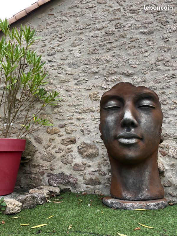 Statut visage femme (image 1)