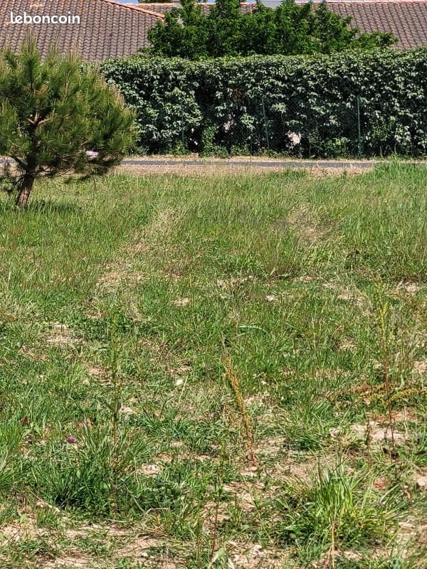 Terrain 480 m² · à Saint-Palais-sur-Mer · 299 000 €