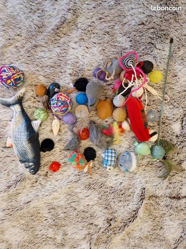 Super Lot De 40 Broches Vintage : Chats, Guitares, Violons, Ours, Poissons Et Chapeaux !