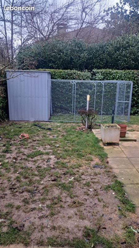 Cabane pour chiens (image 1)