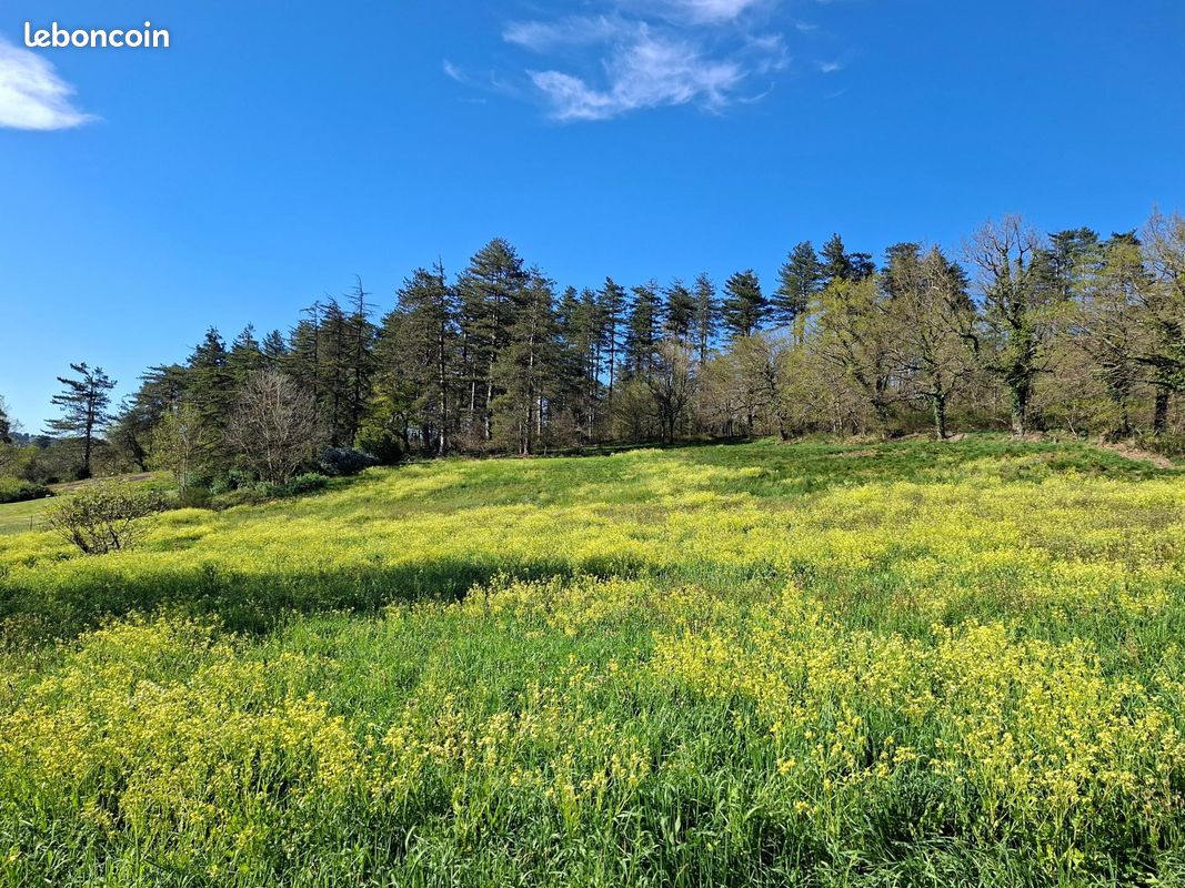 Terrain 3200 m² · à Pont-de-Larn · 3 200 m² · 135 000 €