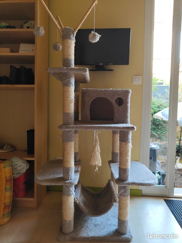 Arbre à chat (image 1)