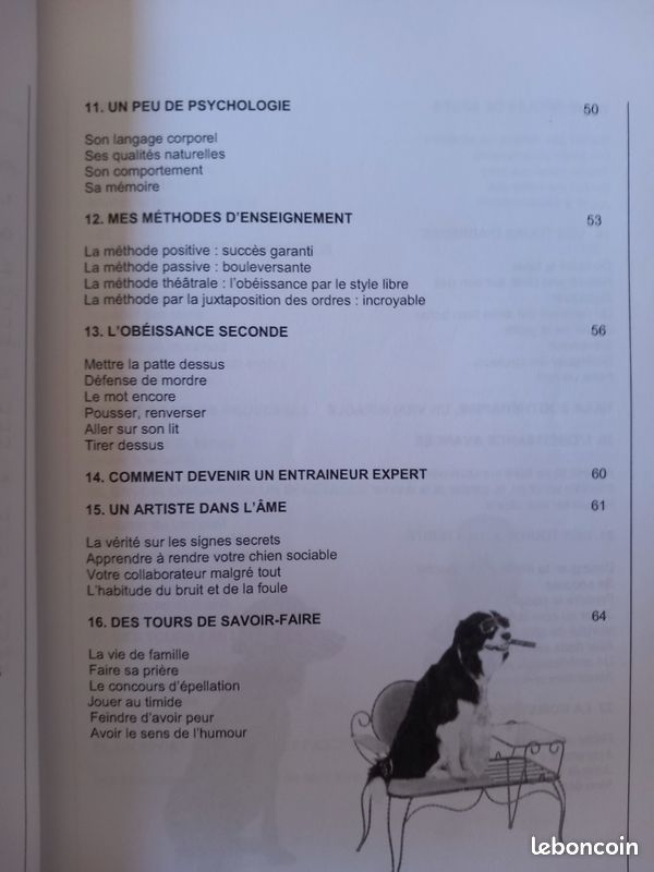 Entraîner ton chien facilement en seulement 15 minutes par jour " découvre la méthode positive tendresse tout en vous amusant " (image 7)