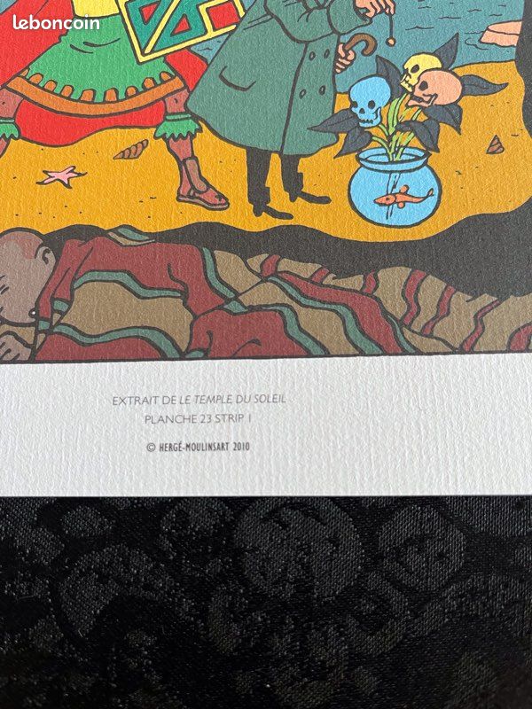 29 planches tintin collection (image 8)