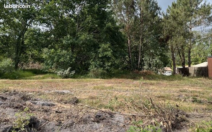 Terrain 1 246 m² Balizac