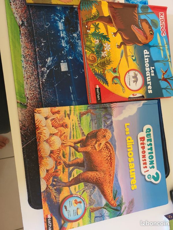Livre dinosaure, chevaliers (image 1)