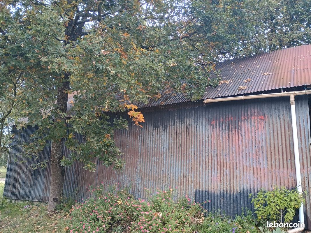 Hangar (image 1)