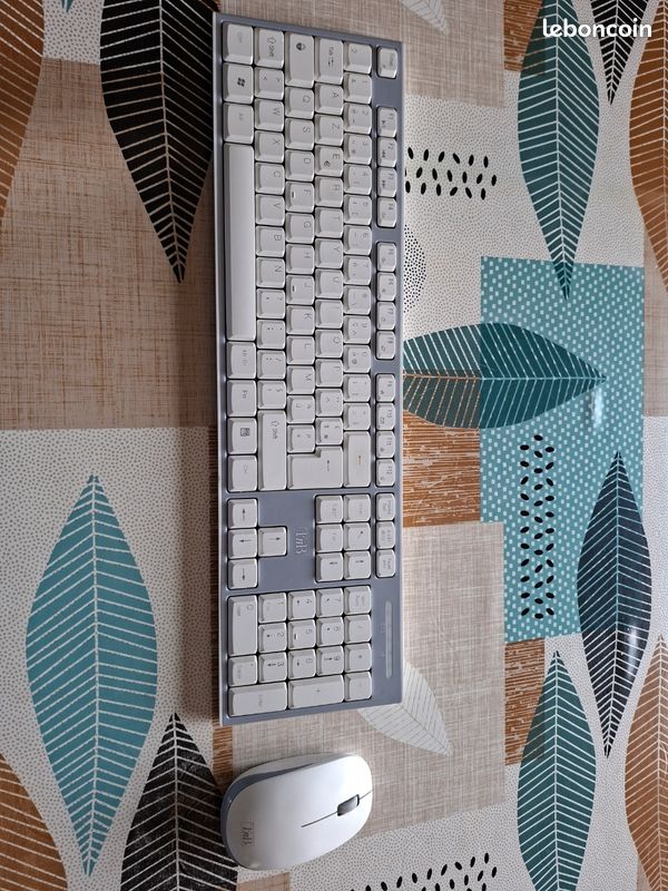 Clavier + souris (sans fil) (image 1)