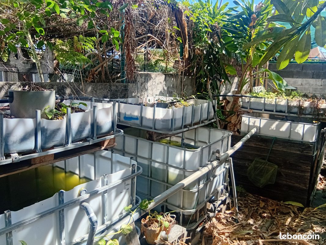 Aquaponie Tables à marée (image 1)