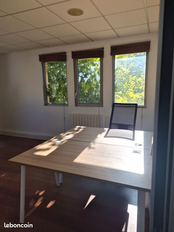 Bureaux - Parc de Mirande (image 3)