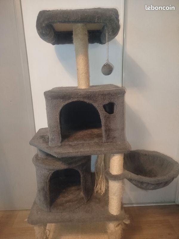 Arbre a chat (image 1)