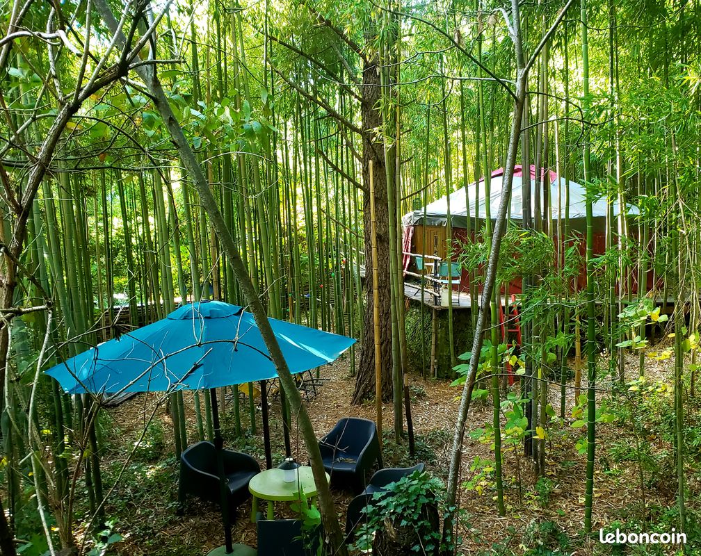 La Yourte aux Bambous en Cévennes (image 15)