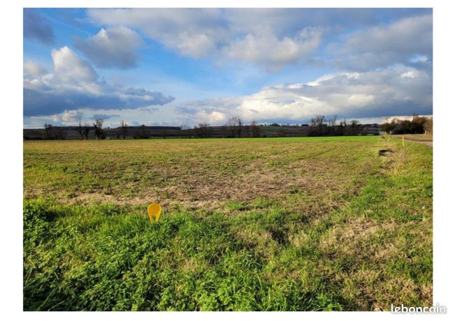Terrain constructible