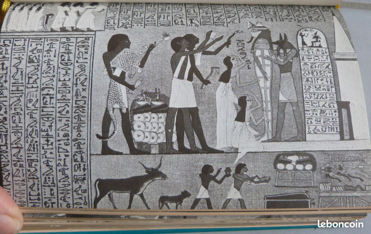 Livre "La Vengeance Des Pharaons" Par Yves Naud - Édition 1977 - Très Bon état
