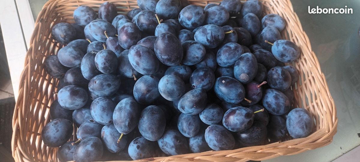 Fruit (image 1)