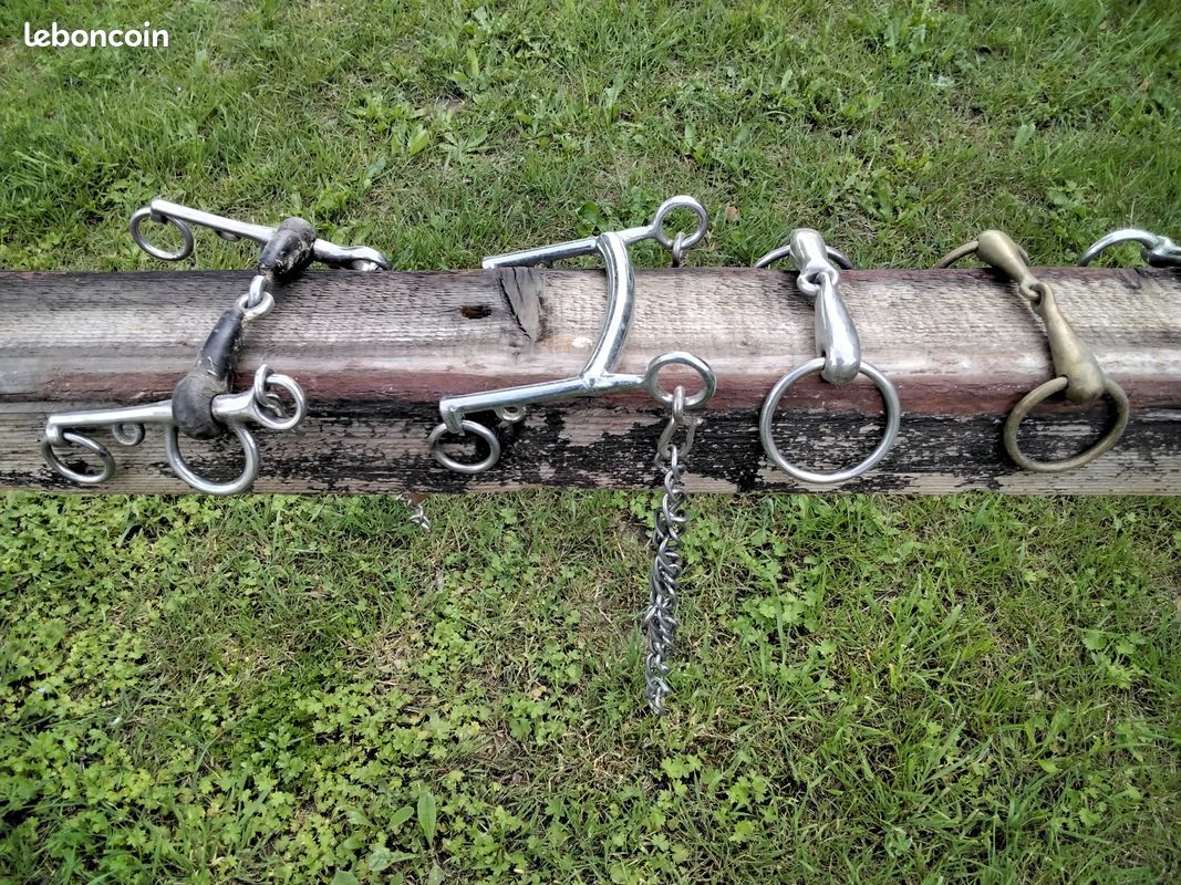 Mors divers (image 4)