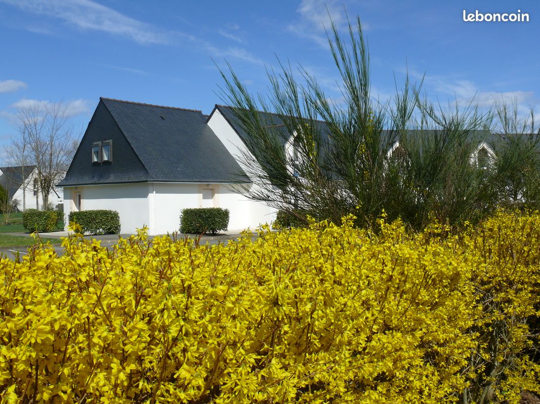 Appartement a louer vannes - 1 pièce(s) - 30 m2 - Surfyn