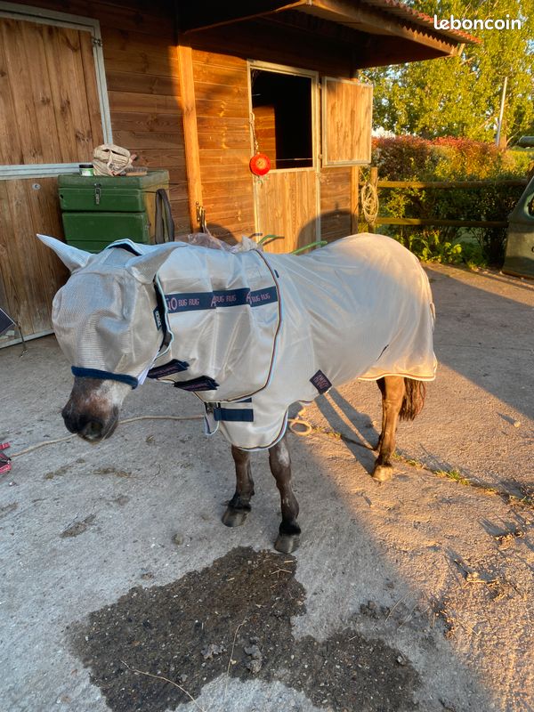 Couverture de marcheur Horseware Amigo 200grs|Textile du cheval