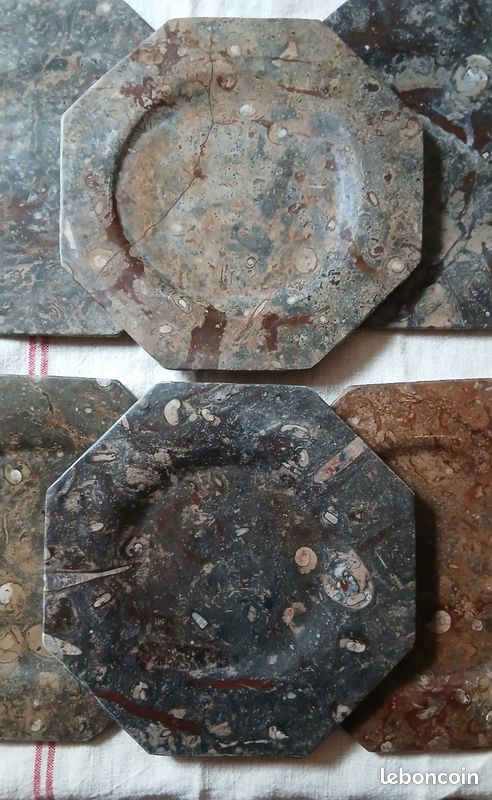 Assiette fossile (image 2)