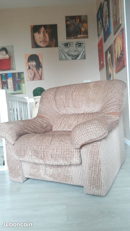 Fauteuil en velours (image 1)