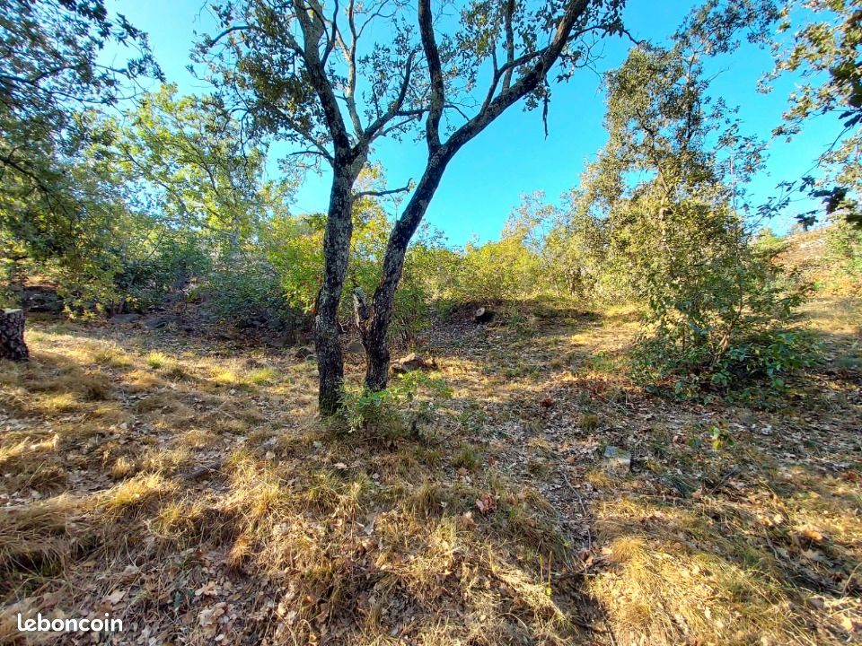 Terrain 547 m² Carnoules · 145 000 €