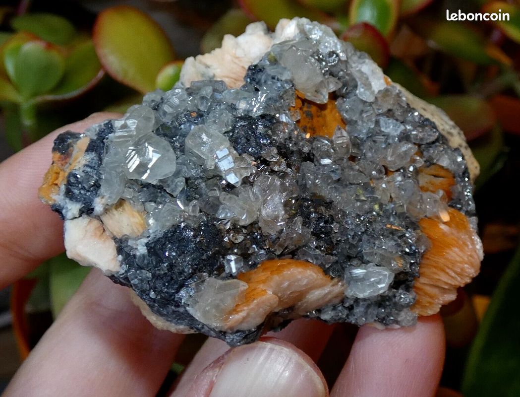 Baryte Cérusite Galène Mibladen 6x4.5cm Maroc minéraux collection pierre rare M98 (image 3)
