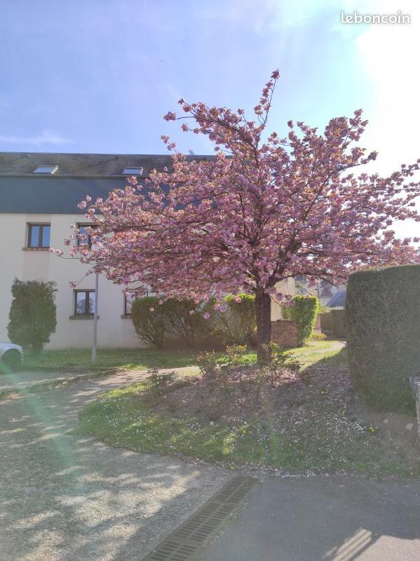 Appartement 2 pièces 49 m² · à Limours · 49 m² · 890 €/mois