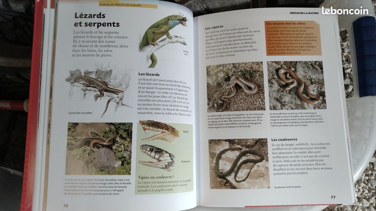 Copain de la nature (image 2)