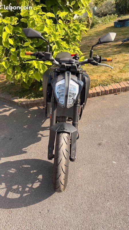 KTM 690 Duke (image 1)