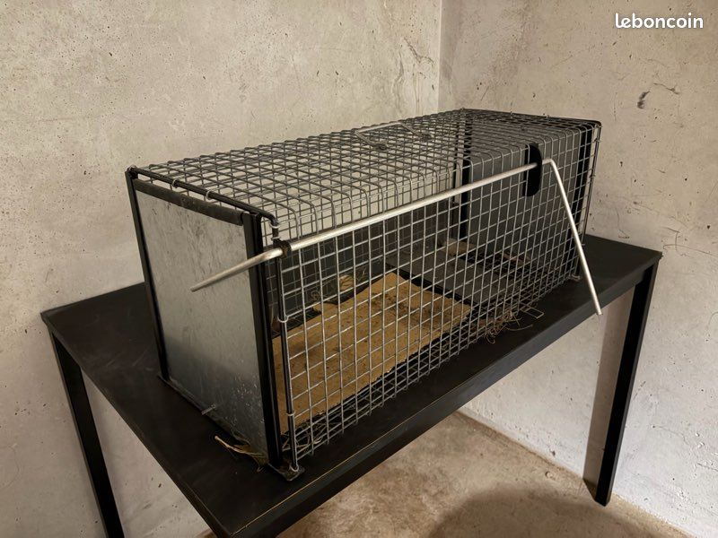 Cage chat (image 1)