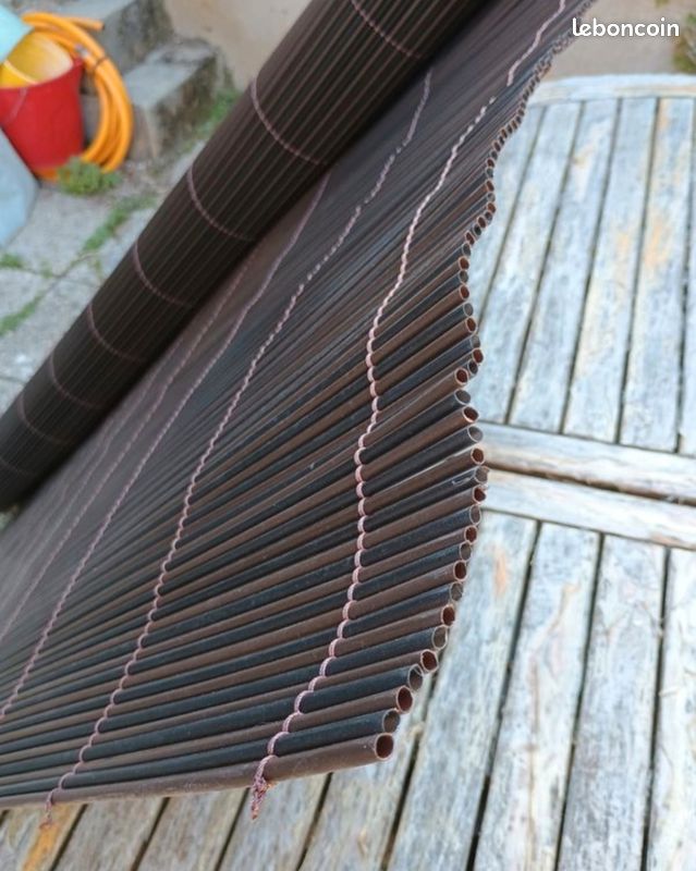 Canisse (image 3)