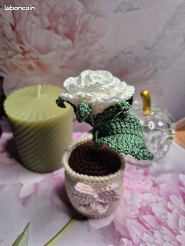 Pot rose blanche (image 2)