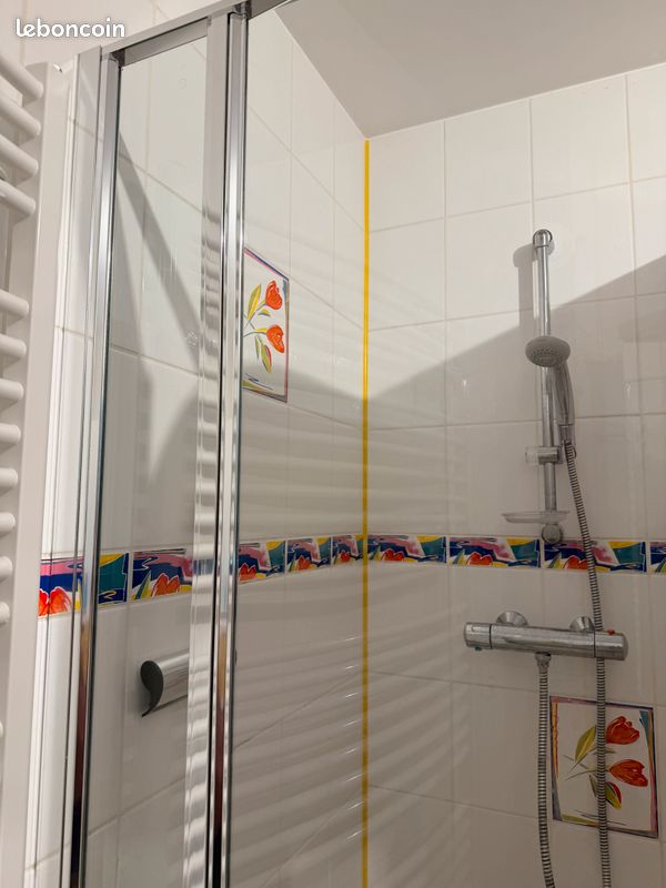 Porte de douche pivotante Vismara (image 4)