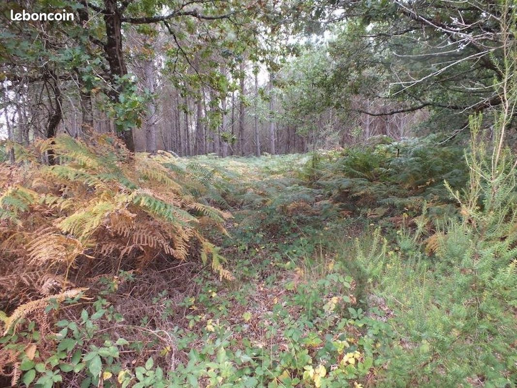 Terrain 800 m² VENDAYS-MONTALIVET (image 2)